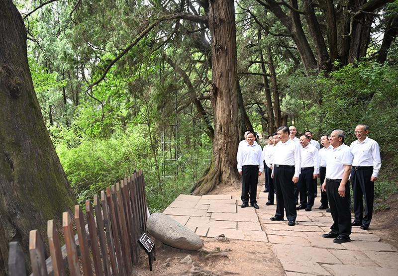 7月25日至27日，中共中央總書記、國家主席、中央軍委主席習(xí)近平在四川考察。這是25日下午，習(xí)近平在廣元市劍閣縣翠云廊考察。